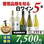 ショッピングワイン ワイン ワインセット 白ワイン 葡萄品種を知る白ワイン5本セット 送料無料「4/23更新」