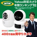防犯カメラ 監視カメラ 見守り 400万画素 wifi パンチルト 屋外 屋内 microSD Wレンズ 夜間撮影 みてるちゃん123 みてるちゃん猫H