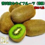 香川産 訳ありキウイフルーツ（香緑） 1ｋｇ［2kg以上送料無料♪］国産 家庭用 小粒