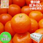 ＼予約・12月発送／【送料無料】【産地直送】香川産 紅みかん 4kg お歳暮ギフトに♪（小原紅早生 温州みかん ミカン 紅色）