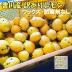 ＼早期発送／国産レモン1.5kg訳あり品 香川産［送料無料♪］家庭用 瀬戸内産 ノーワックス・防腐剤不使用 檸檬