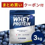 ショッピングブルー エクスプロージョン WPC 3kg ブルーベリー味 100%ホエイプロテイン 大容量