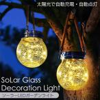 [ Revue . написать бесплатная доставка ] солнечный стекло украшение свет садовый светильник LED свет стекло солнце свет зарядка departure электро- наружный салон водонепроницаемый лампа цвет модный двор 