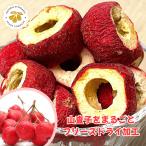 山査子さんざしサンザシフリーズドラ...