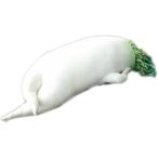  Dakimakura мягкая игрушка дайкон . мягкая игрушка настоящий Dakimakura игрушка овощи sexy дайкон подушка . структура . поверхность белый мягкий мужчина она интерьер . день рождения pre ze