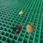  сетка-рабица забор,1.2M x 30M антикоррозийный отделка +PVC обработка 6CM сетка размер 3MM тросик диаметр, искривление ... разрез сделал . возможно ....... курица .Hard plastic 1.2x30m