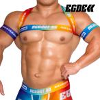 [4193]REBOOT NX PRIDE harness &amp; armbands set