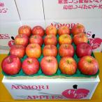 ご家庭用　サンふじ（葉取らずふじ）　10kg