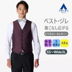 [ европейская одежда. Aoyama ] стильный лучший жилет мужской тонкий весна лето осень-зима красный вино одиночный большой размер 5 кнопка бизнес церемония праздник вечеринка тип .