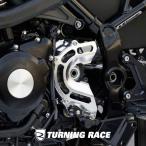 KAWASAKI Z900RS кожух звездочки цепь защита 