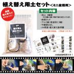  для земля :.. изменение для земля комплект ( мини бонсай для )* бонсай .. изменение комплект . изменение комплект пробный выгода удобный . починка материал 