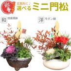門松お正月飾り  迎春：ミニ門松*寒水とピック付き（黒松・南天・ハボタン・ガーデンシクラメン）鉢の種類が選べます。bonsai