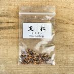 .. бонсай : семена сосна Тунберга *.... черный matsu