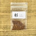 杉 種子