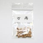 万両 種子