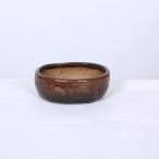現代小鉢：天龍石仙　楕円鉢【現品】*11.2cm　sekisen