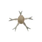 ジャッカル　ジミーヘンジ42 パワーソルト 喰わせスモーク