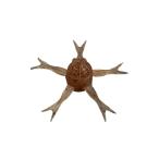 ジャッカル　ジミーヘンジ42 パワーソルト 滋味エビ