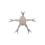 ジャッカル　ジミーヘンジ42 パワーソルト リザーバーサイトSP