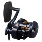 DAIWA（釣り） 25 ソルティガ 300 釣り ベイトリール - 最安値・価格