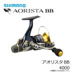 シマノ13アオリスタＢＢ4000