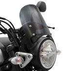 XSR125 RE46J XSR155 RG63 измерительный прибор козырек комплект ( затонированный )+ монтажный комплект мотоцикл 