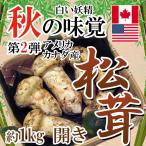 今期終了間近 数量限定 松茸 1kg 開き わけあり 大きさおまかせ カナダ産・北米産 秋の味覚 豊かな香りで食べごたえのある松茸