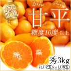 ショッピング甘平 甘平 カンペイ 秀品 3kg 2Lサイズ Lサイズ シャキッとした大粒のプチプチ果肉と食べごたえ満点 愛媛県 ミカン 柑橘 オレンジ orange