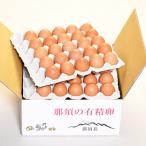 fu.... налог .. соль . город иметь . яйцо * здоровый eg