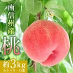ふるさと納税 飯田市 南信州産「桃」約3kg〈あかつき・白鳳〉 【2025年7月より順次発送】