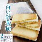 白い針葉樹 24枚入り×2箱セット