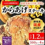 高級モモ肉300gを揚げて作るからあげステーキ4枚_KH0101