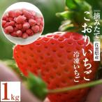 ふるさと納税 江北町 佐賀県江北町産 摘みたてこおりいちご1kg(冷凍いちご)