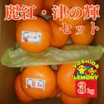 れいこう 津のかがやき セット