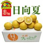 日向夏 ひゅうがなつ 3kg