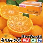 先行受付 ブランド有田みかん 秀品5kg