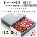 ソムリエトマト1.3kgとソムリエミニトマト