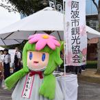 観光協会 会員権 1年間