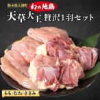 天草大王 贅沢1羽セット