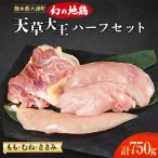 天草大王 ハーフセット