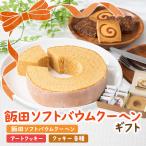 飯田ソフトバウムクーヘン