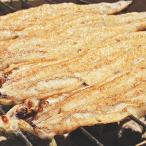 一串ずつ丁寧に焼き上げた 炭火蒲焼2尾白焼き1尾