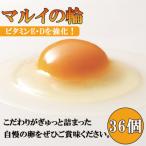 マルイの輪 たまご