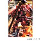 バンダイのプラモデル MG 1 100 MS-06S