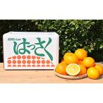 ふるさと納税 湯浅町 【2027年1月より順次発送】有田のはっさく【八朔】10kg 大玉(2L〜4L)【まごころ手選別】