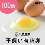 小林農園の平飼い有精卵 100個