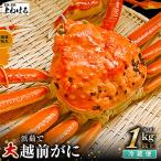 越前がに 大1杯