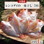 丹後のお魚屋さん一押し レンコダイのうまみ凝縮一夜干し5枚