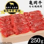 亀岡牛 モモ 焼肉 250g
