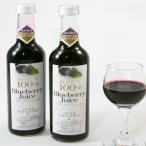 ブルーベリージュース ストレート 500ml×2本セット